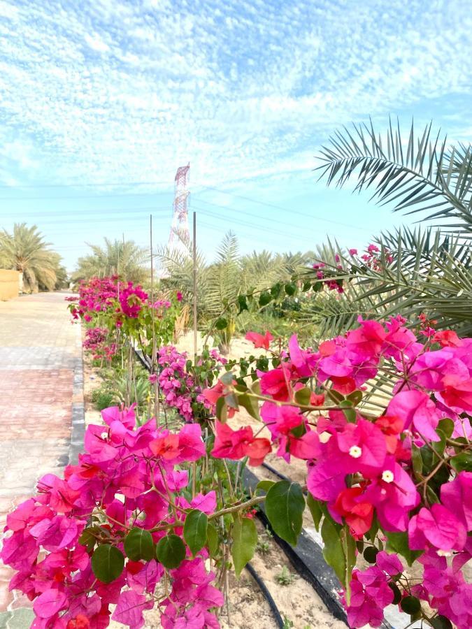 Luxury Farm With Swimming Pool And Bbq Villa Al Rahba Exterior foto